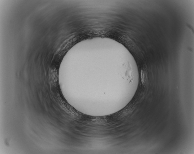 X0000101951107200808081459