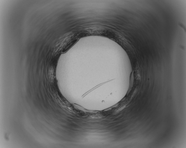 X0000101951108200808081459