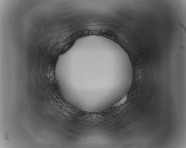 X0000101951109200808081459
