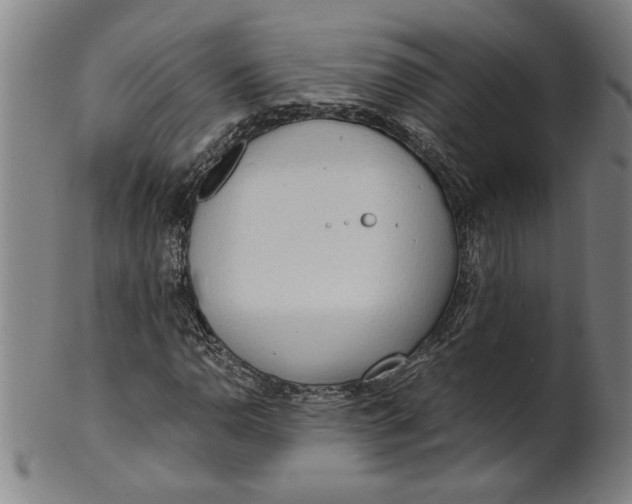X0000101951110200808081459