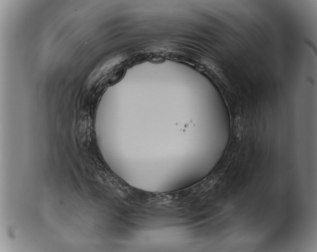 X0000101951111200808081459
