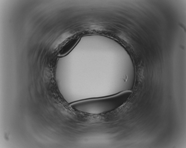 X0000101951112200808081459