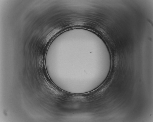 X0000101951113200808081459