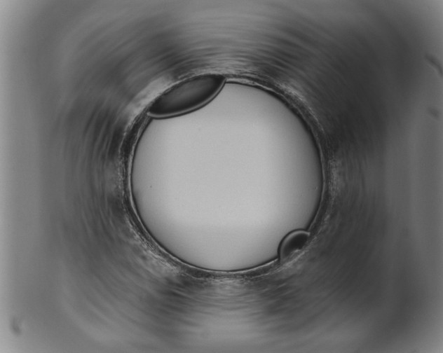 X0000101951114200808081459