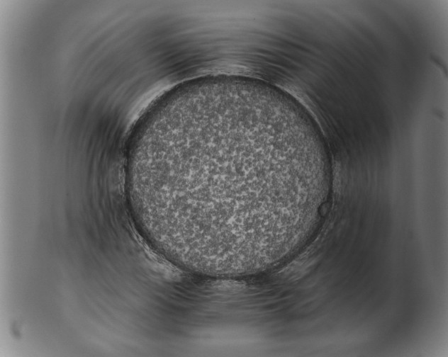 X0000101951115200808081459