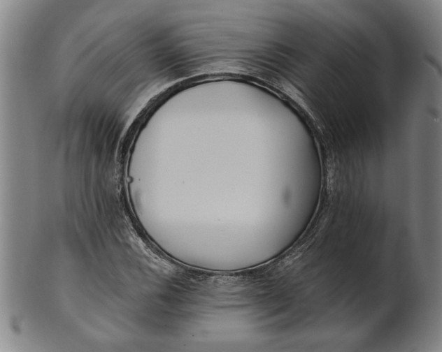 X0000101951116200808081459