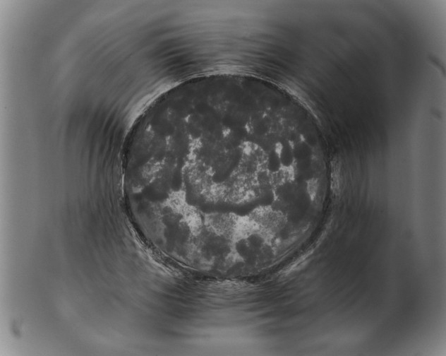 X0000101951117200808081459