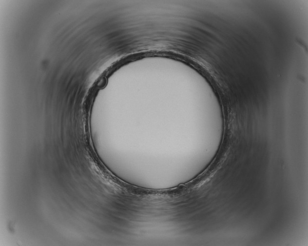 X0000101951118200808081459