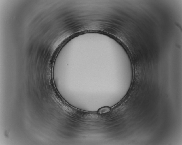 X0000101951119200808081459
