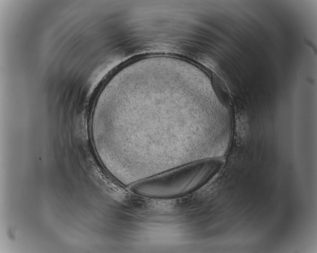 X0000101951120200808081459