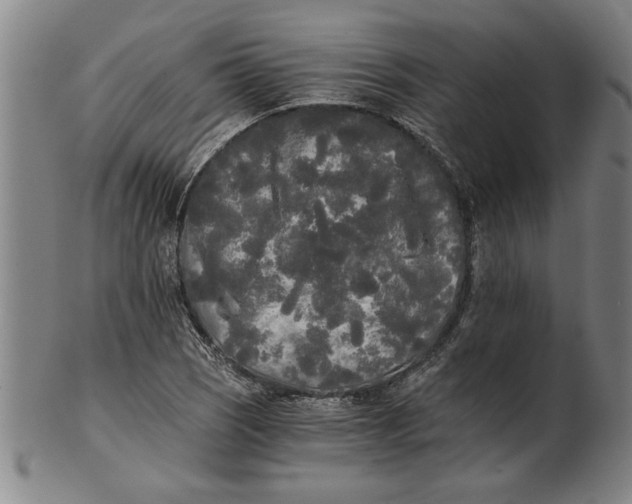 X0000101951121200808081459