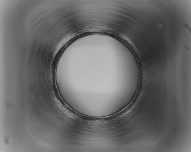 X0000101951122200808081459