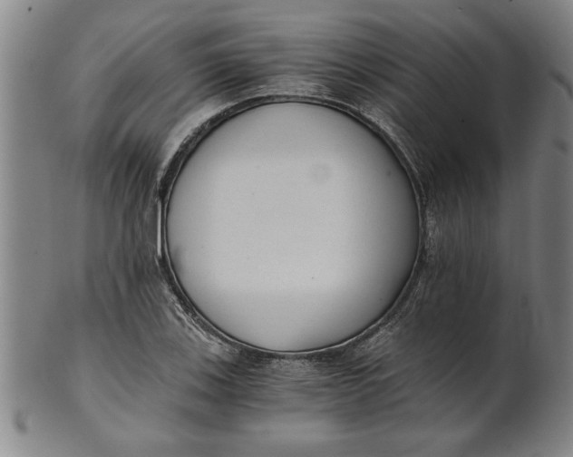 X0000101951123200808081459
