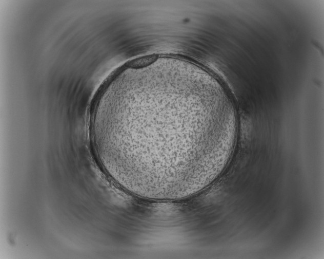 X0000101951124200808081459