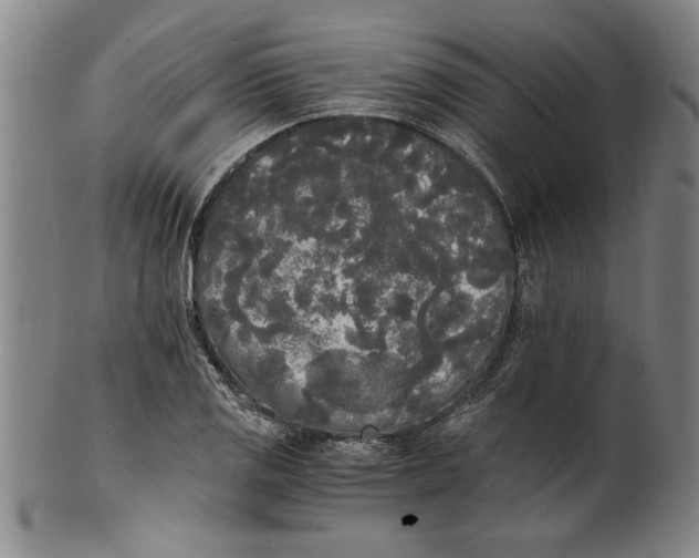 X0000101951125200808081500