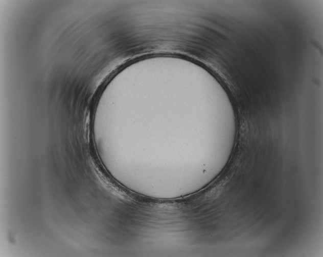 X0000101951126200808081500