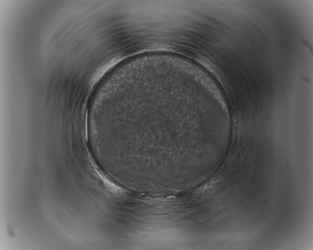 X0000101951127200808081500