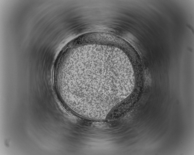 X0000101951128200808081500