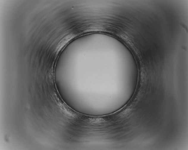 X0000101951129200808081500