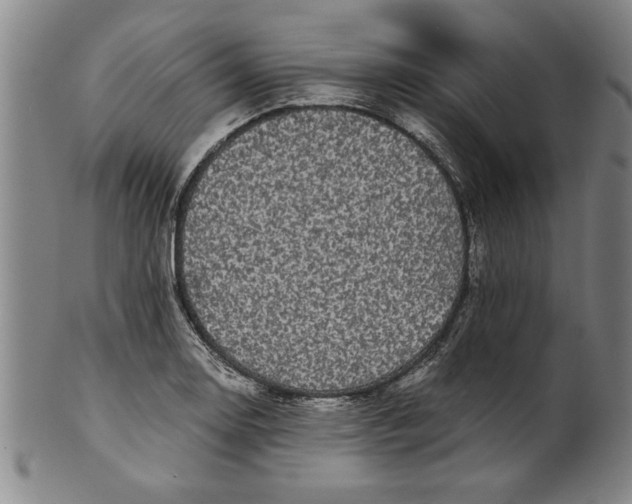 X0000101951130200808081500