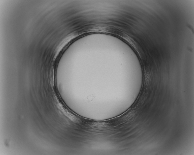 X0000101951131200808081500