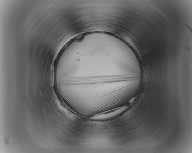 X0000101951132200808081500