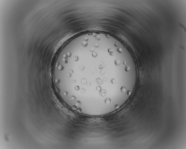 X0000101951133200808081500