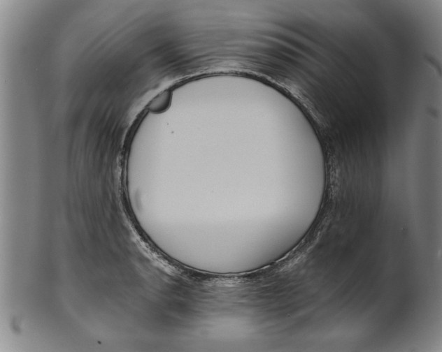 X0000101951134200808081500