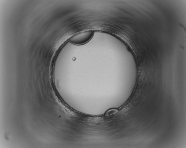 X0000101951135200808081500