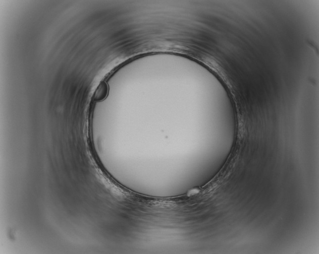 X0000101951136200808081500