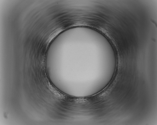 X0000101951137200808081500