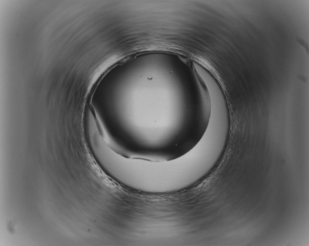 X0000101951138200808081500