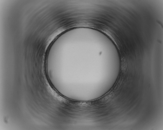 X0000101951139200808081500