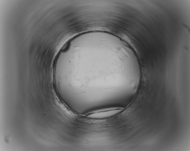 X0000101951140200808081500