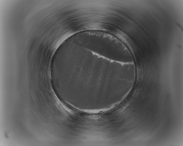 X0000101951141200808081500