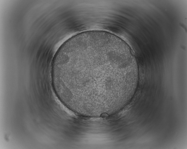 X0000101951142200808081500