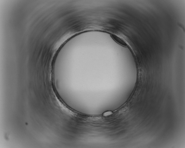 X0000101951143200808081500