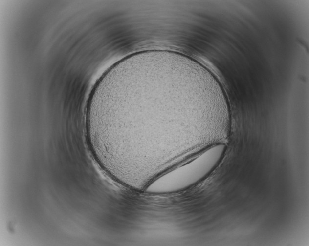 X0000101951144200808081500