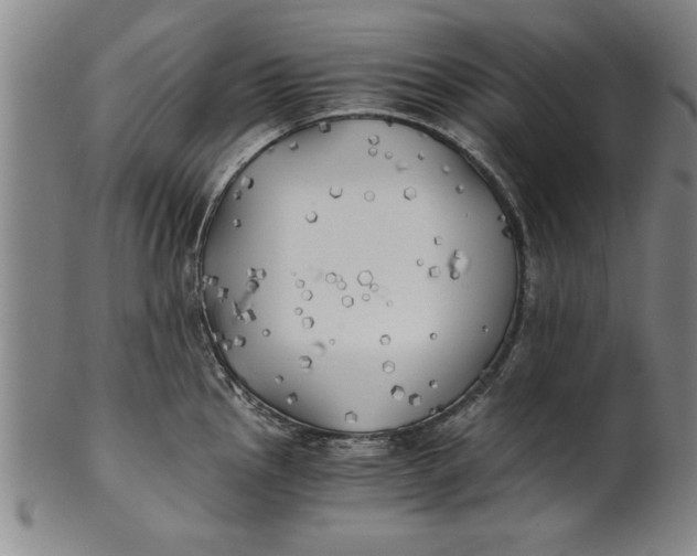 X0000101951145200808081500