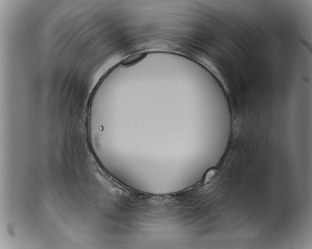 X0000101951146200808081500