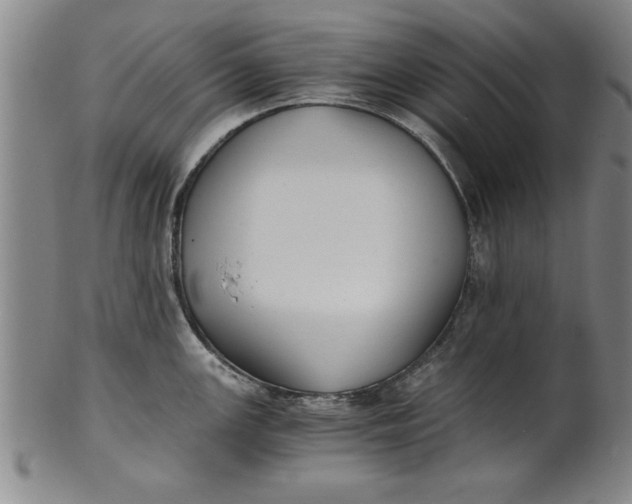 X0000101951147200808081500