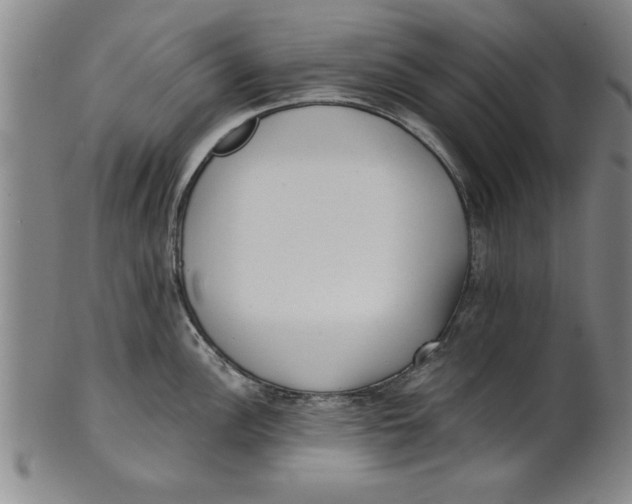 X0000101951148200808081500