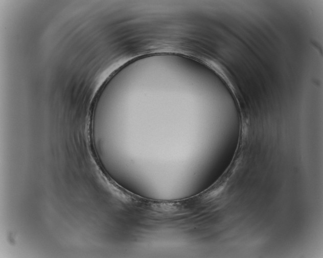 X0000101951149200808081500