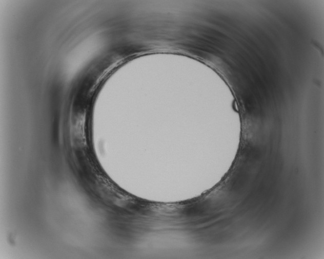 X0000101951150200808081500