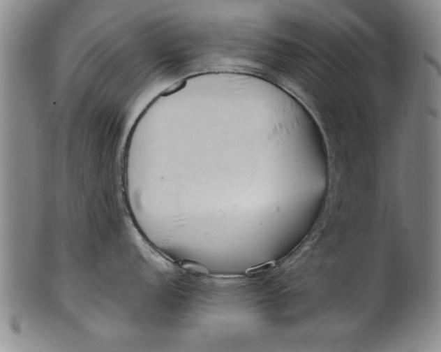 X0000101951152200808081500