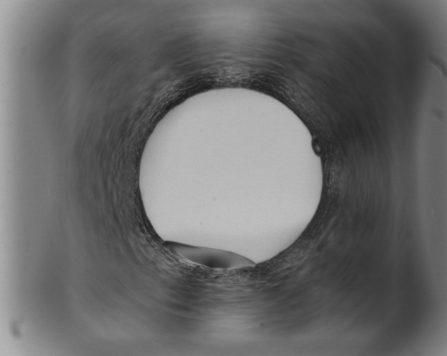 X0000101951153200808081459