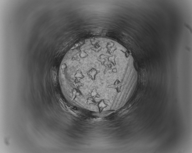 X0000101951154200808081459