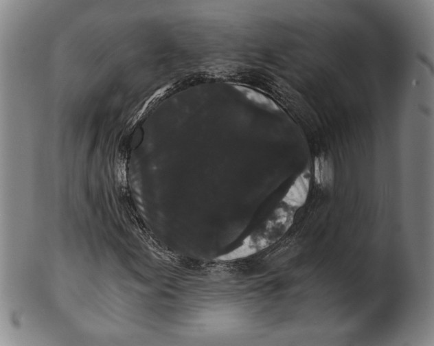 X0000101951155200808081459