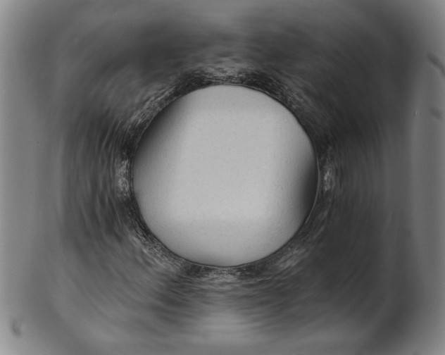 X0000101951156200808081459