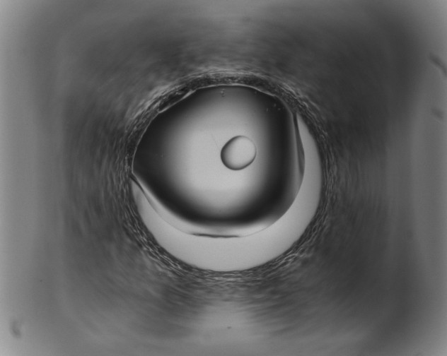 X0000101951157200808081459